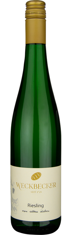2022 Riesling Spätlese alten Reben Hatzenporter Kirchberg von Weingut Weckbecker - Weißwein