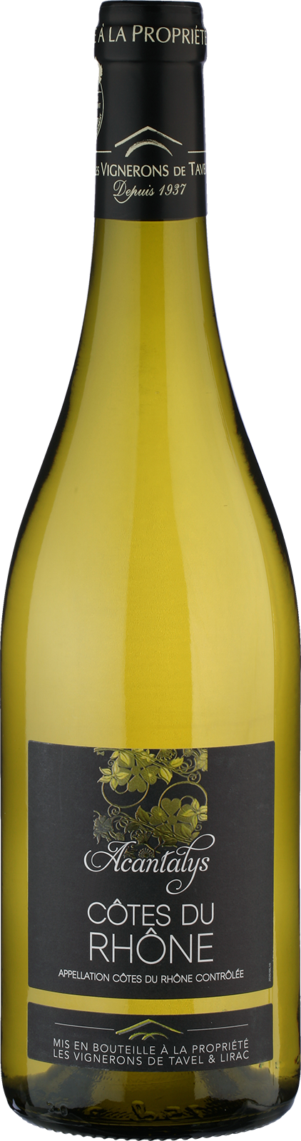 2024 Côtes du Rhône BLANC Acantalys von Vignerons de Tavel - Weißwein