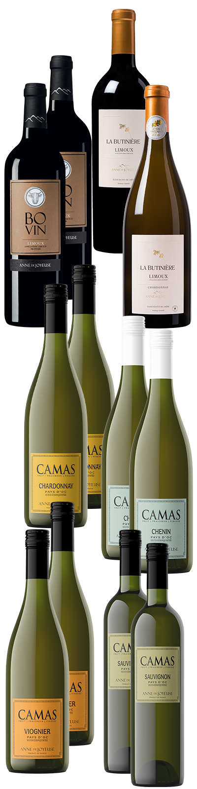 12 Flaschen Sparpaket Camas