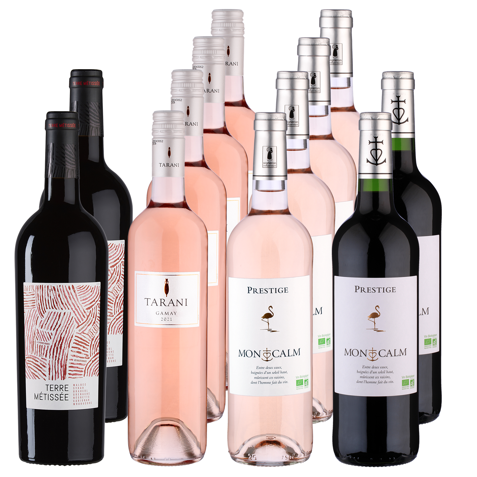 12 Flaschen Paket perfekte Grill-Weine