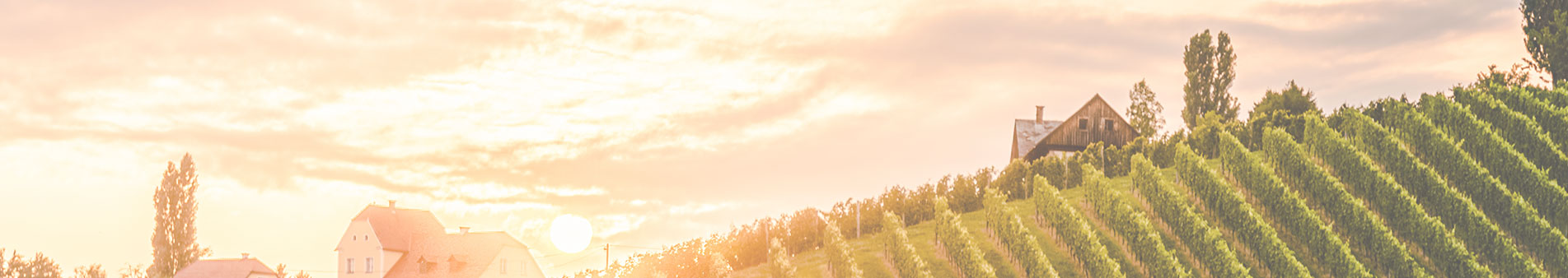 Domaine Chandon de Briailles