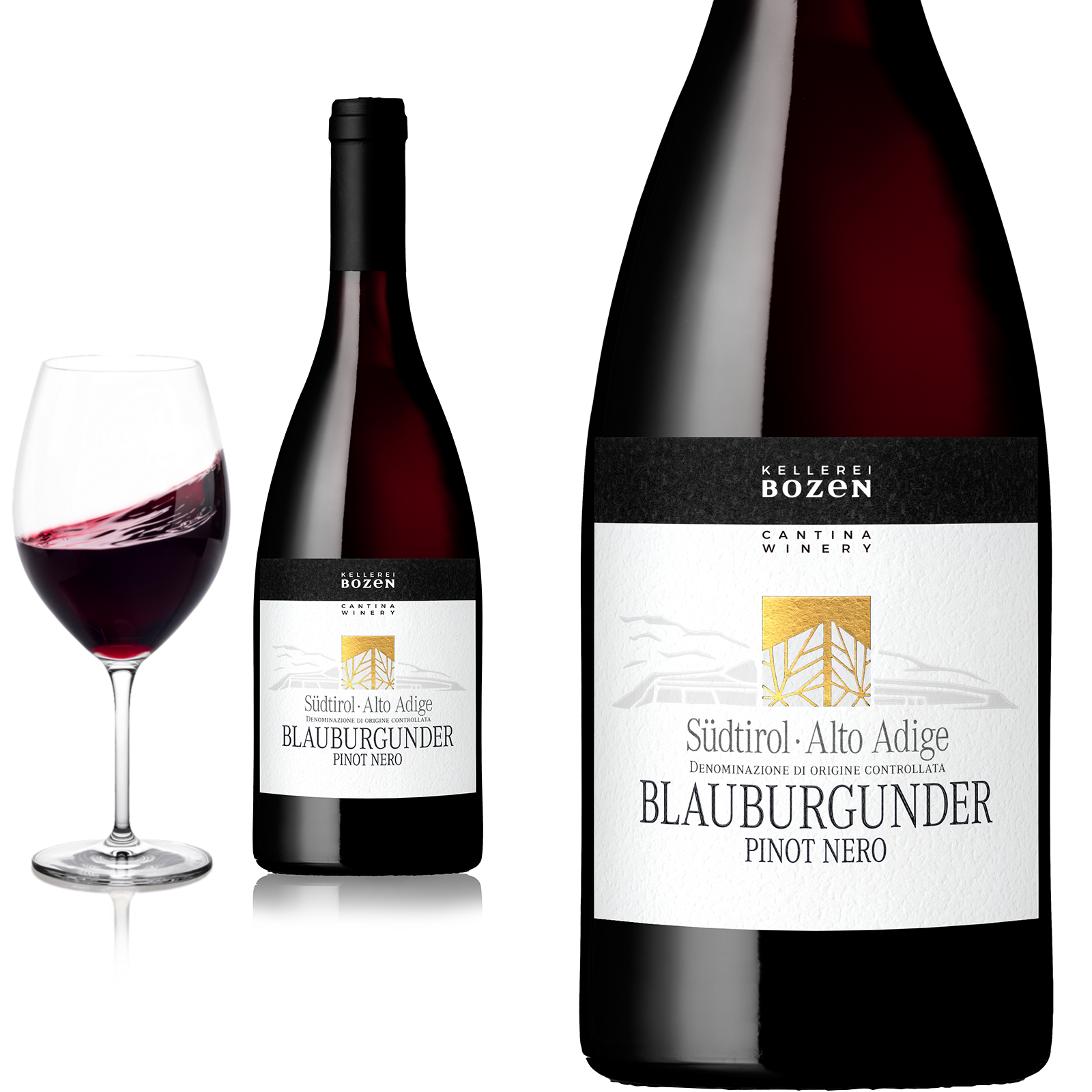 2024 PINOT NERO Südtirol von Kellerei Bozen/Gries - Rotwein
