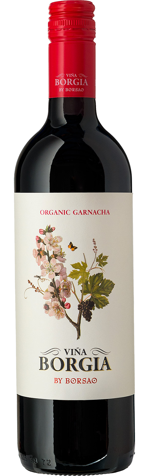 2020 BIO Campo de Borja Vina Borgia - Organico Bodegas Borsao - Rotwein