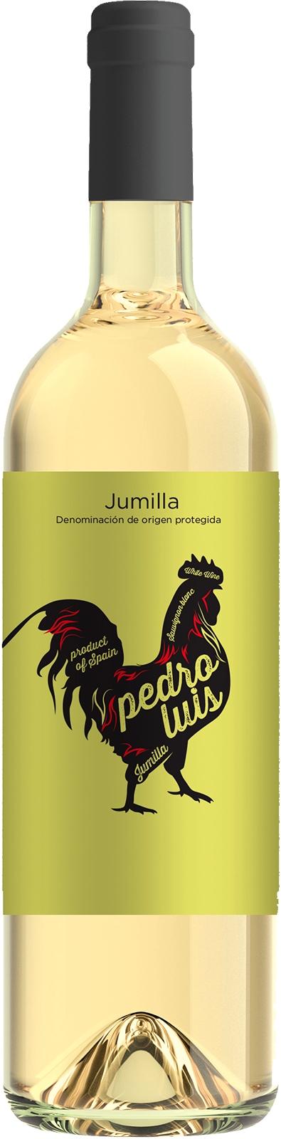 2024 Jumilla Sauvignon blanc Gallo Pedro Luis von Bodega Alceno - Weisswein