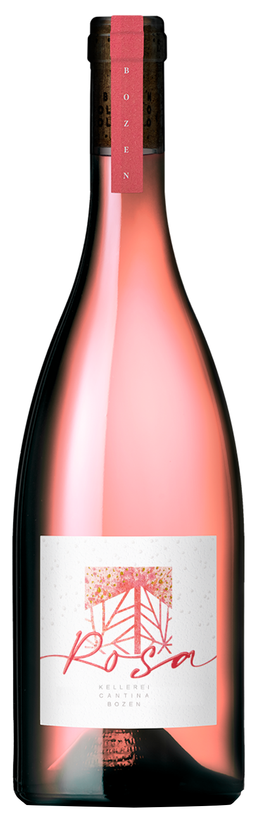 2023 ROSA - rose von Kellerei Bozen -Rosewein