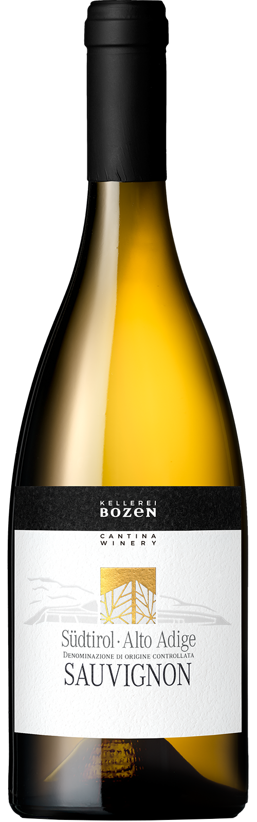 2024 Sauvignon Blanc Südtirol von Kellerei Bozen/Gries Weißwein