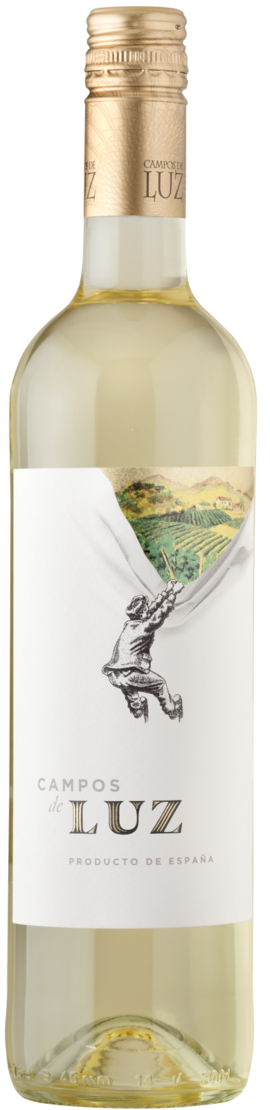 2023 Blanco Carinena von Campos de Luz - Weißwein
