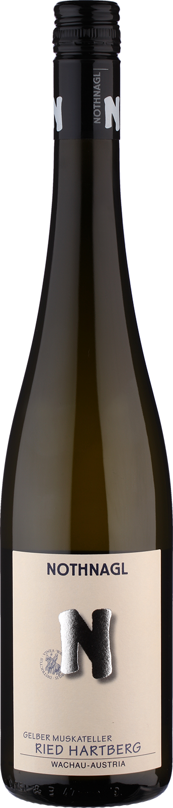 2021 Gelber Muskateller von Weingut Nothnagl Wachau - Weißwein