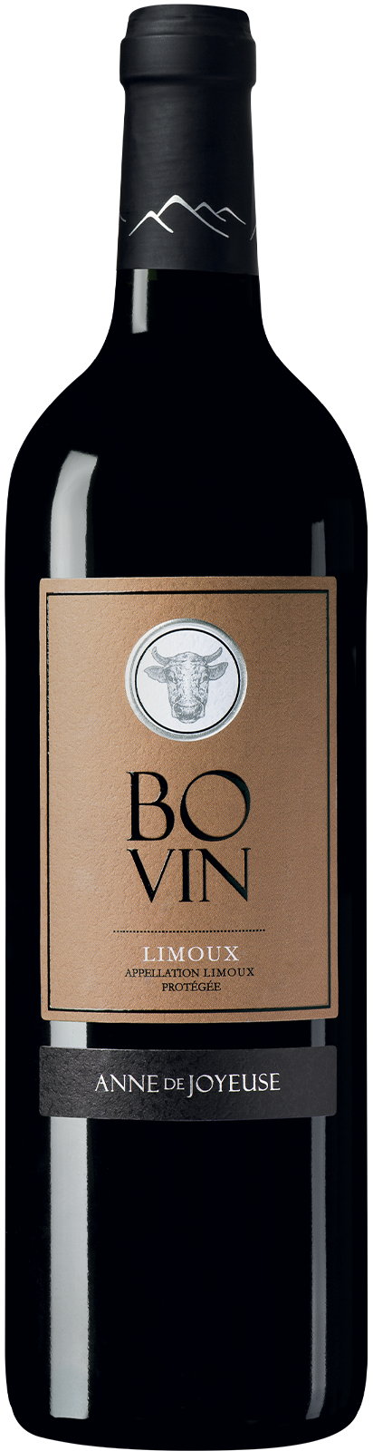 2019 Limoux BO VIN von Anne de Joyeuse - Rotwein