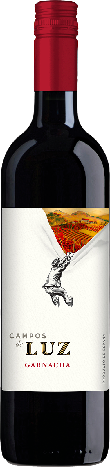 2020 Garnacha Vieja Carinena von Campos de Luz - Rotwein