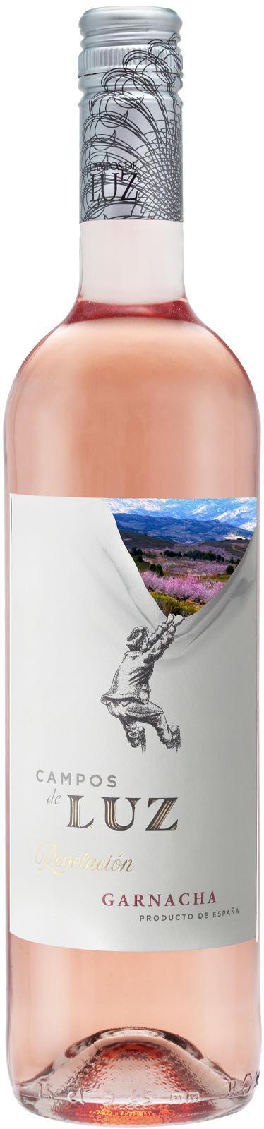 2022 ROSADO Carinena von Campos de Luz - Rosewein
