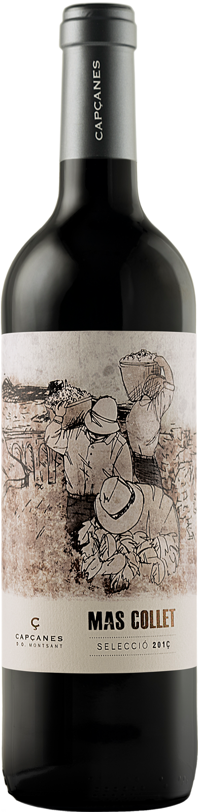 2020 Montsant Mas Collet von Celler de Capcanes - Rotwein