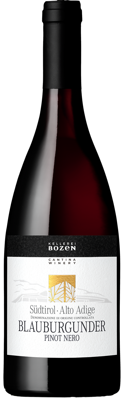 2024 PINOT NERO Südtirol von Kellerei Bozen/Gries - Rotwein