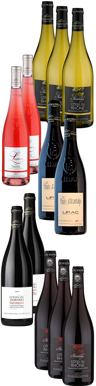 12 Fl. »Vallée du Rhône« -paket Vignerons de Tavel