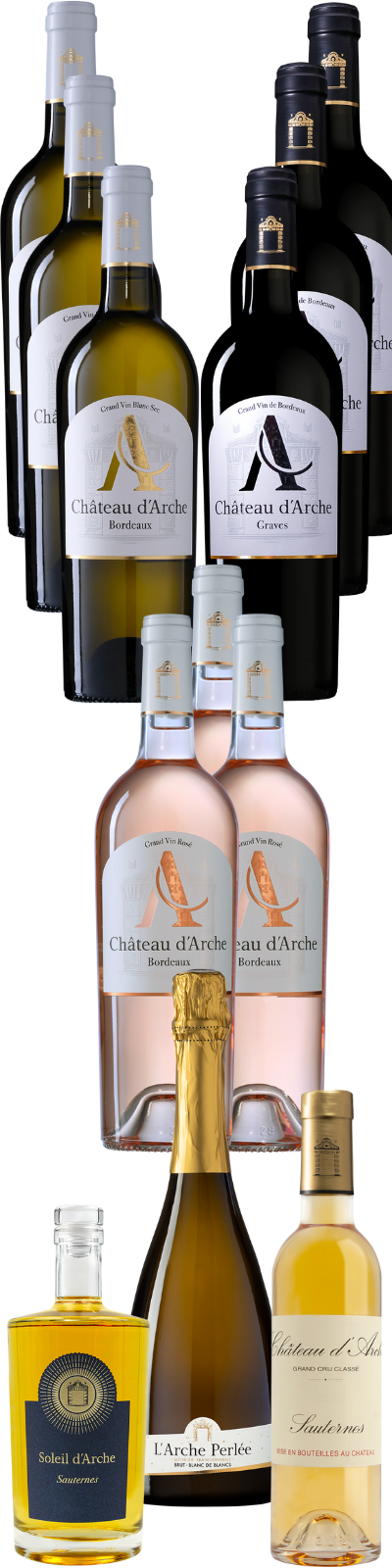 12 Flaschen Variationspaket Château d'Arche